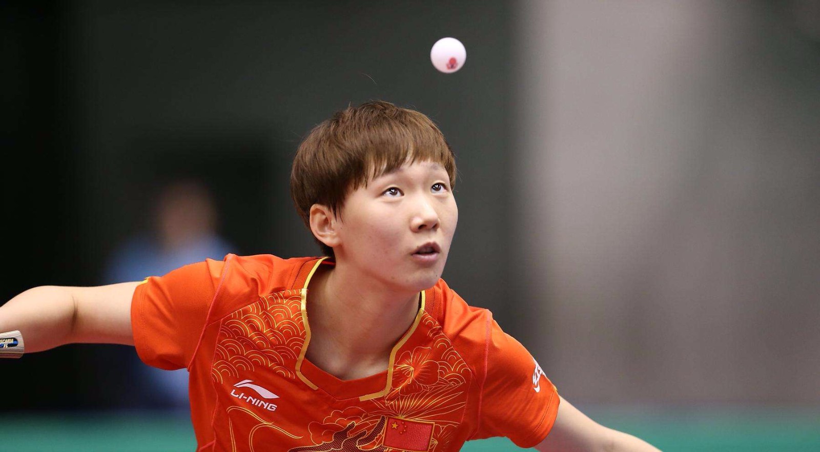 特乒乓球队 特乒乓球队