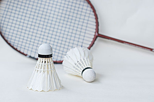 马来西亚羽毛球公开赛：骆建佑无缘16强.